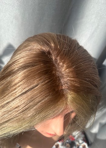 Tül tepelik açik kumral - Görsel 8