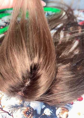 Tül tepelik açik kumral - Görsel 7