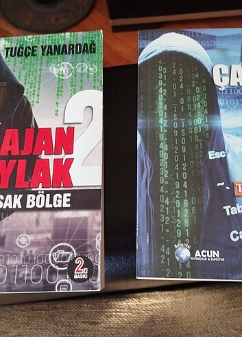 Ajan çaylak