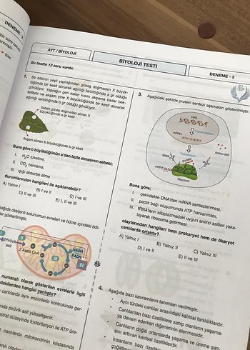 AYT Biyoloji Branş Denemeleri 25x13 - Görsel 2