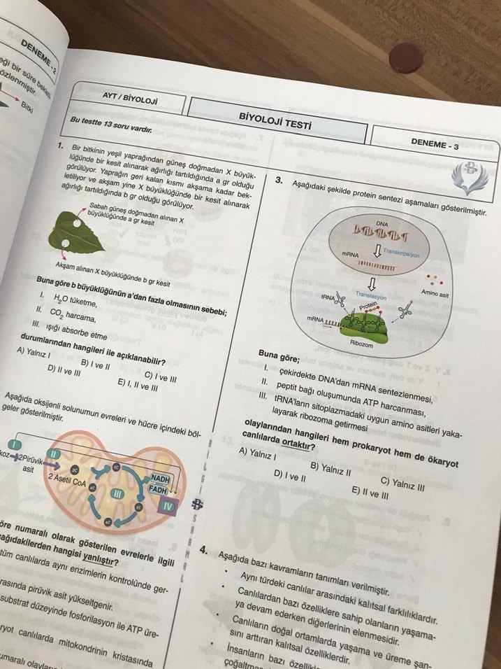 AYT Biyoloji Branş Denemeleri 25x13 - Görsel 2