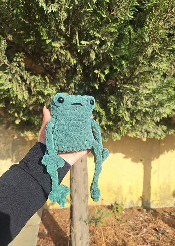 uzun bacaklı kurbik - Görsel 3