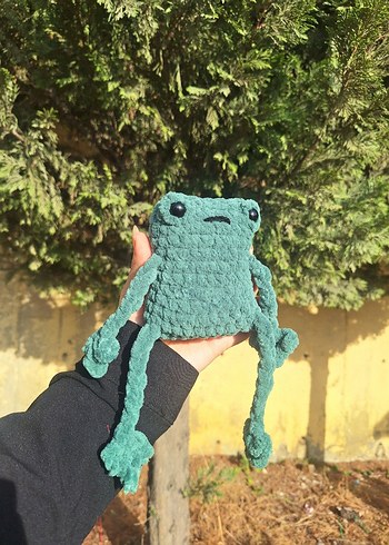 uzun bacaklı kurbik - Görsel 2