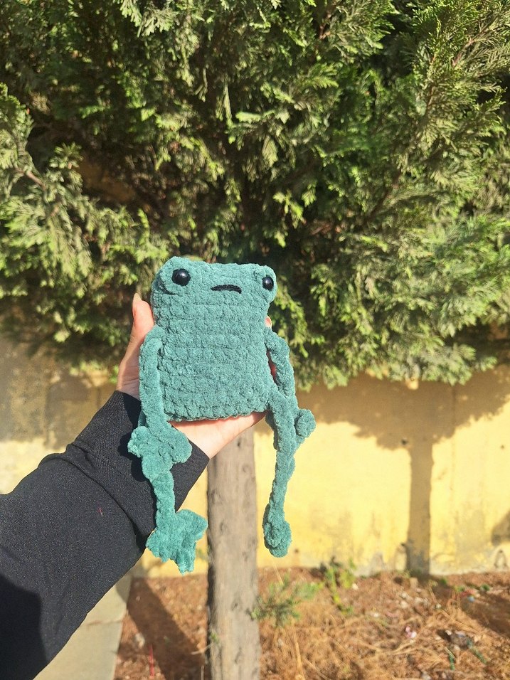 uzun bacaklı kurbik - Görsel 3