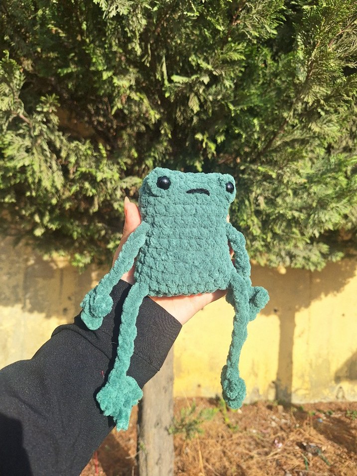 uzun bacaklı kurbik - Görsel 2