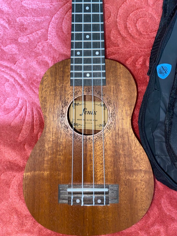 Koyu Kahverengi Ukulele ve Taşıma Çantası - Görsel 4