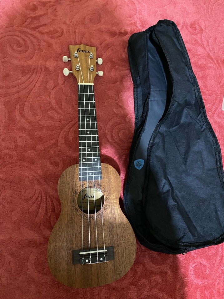 Koyu Kahverengi Ukulele ve Taşıma Çantası - Görsel 2