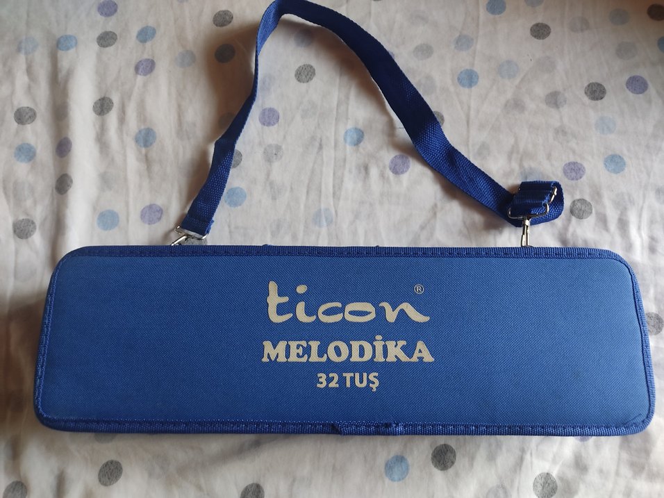 Mavi Pastel Melodika - Görsel 2