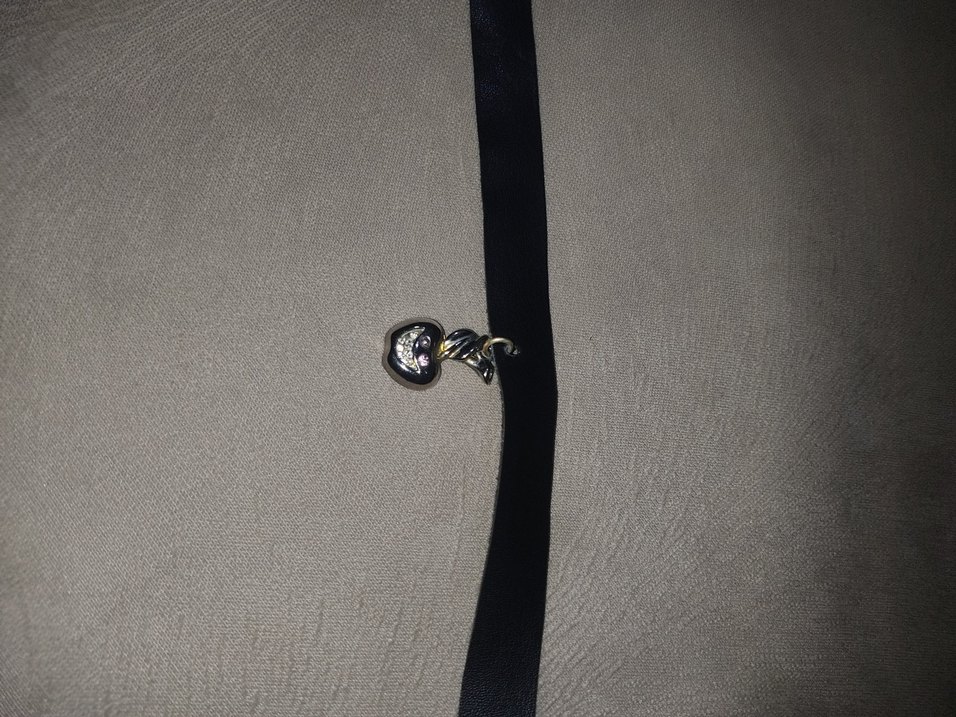 Gotik choker kolye (boyun tasması) - Görsel 2