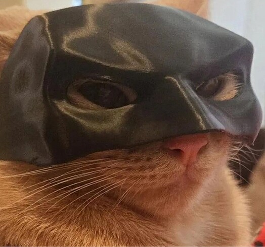 Beden Renk Kedi Maskesi
