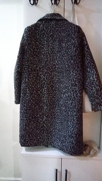 Diğer Kaban leopar