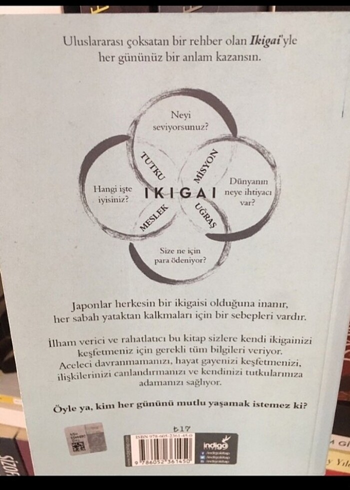 IKIGAI - Görsel 2