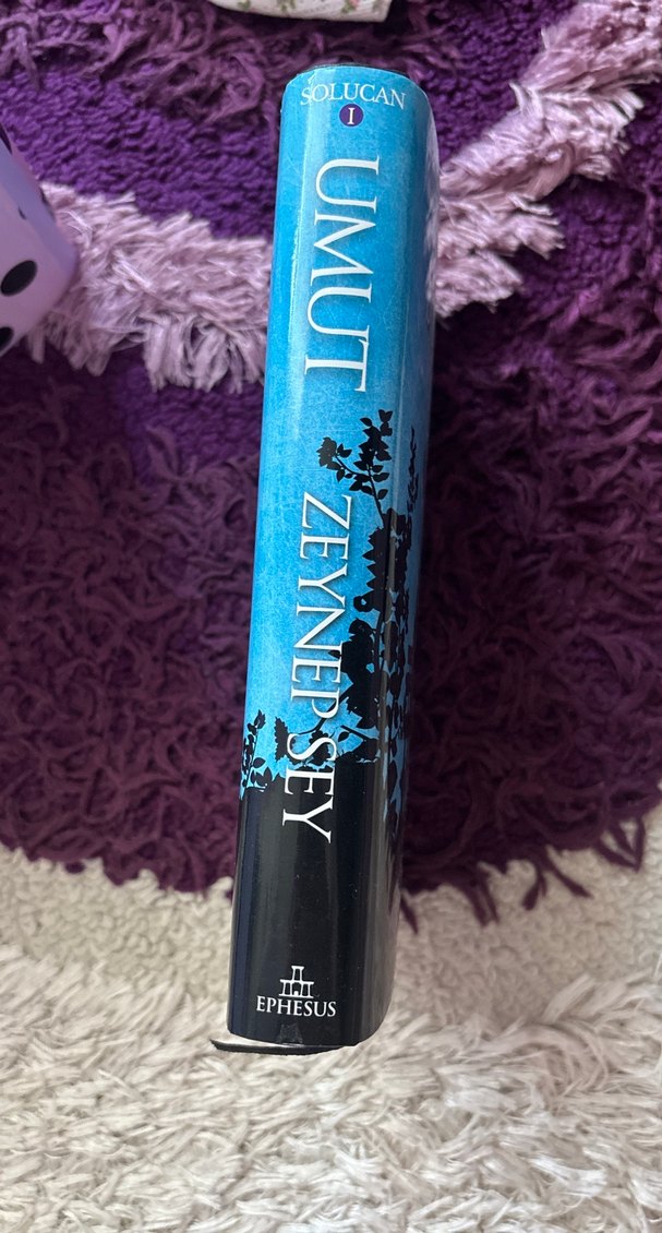 Solucan I Umut - Zeynep Sey - Görsel 2