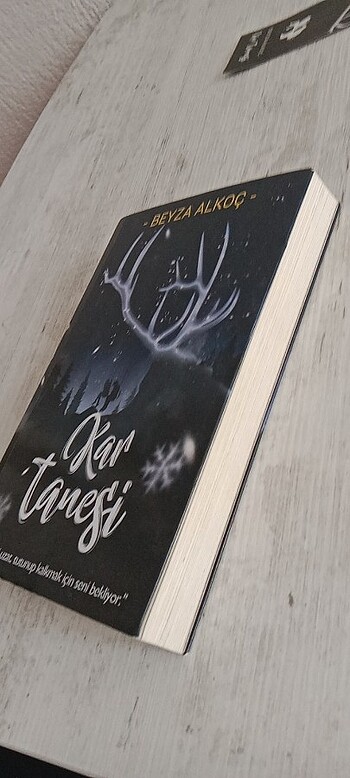 Beden Renk Kar tanesi ciltsiz