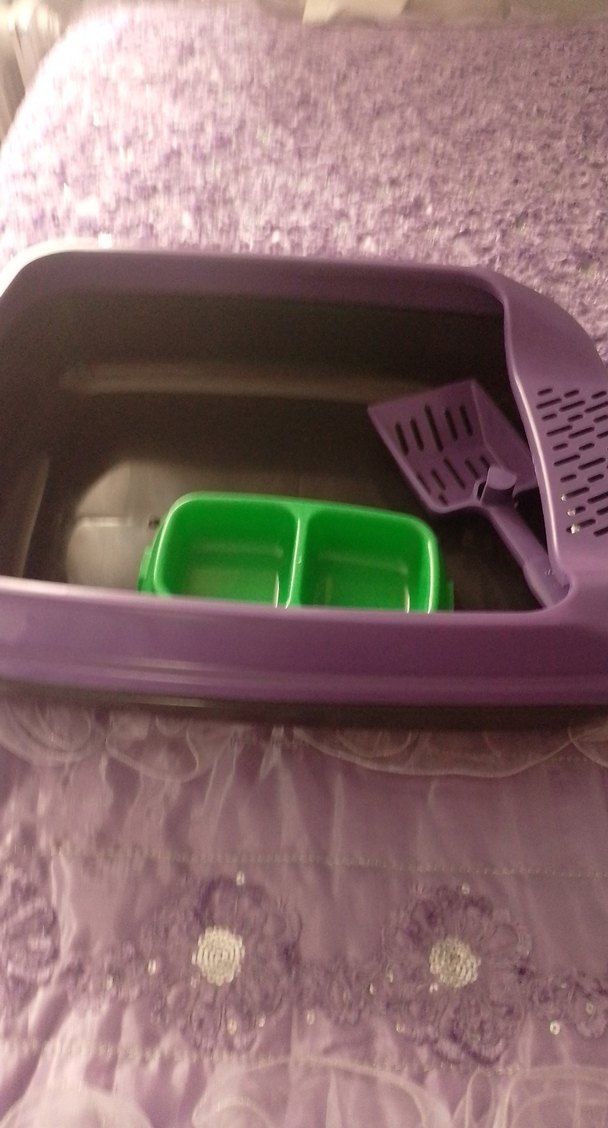 Mor Kedi Tuvalet Kabı ve Mama Kabı Seti - Görsel 2