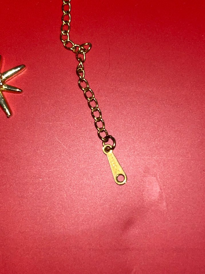 Kuzey yıldızı kolye - Görsel 4