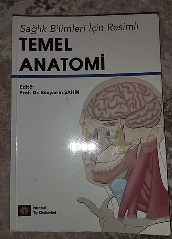 Temel anatomi 