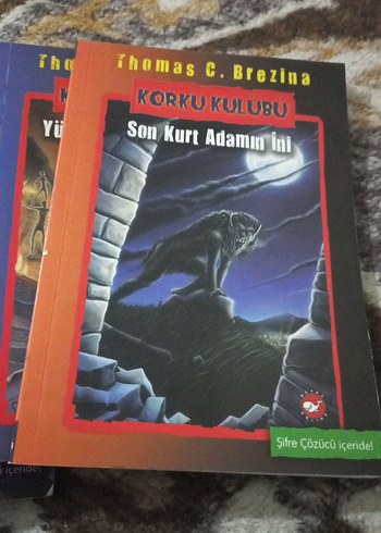 Thomas Brezina'nın Bilim Kurgu ve Fantastik Kitapları - Görsel 7