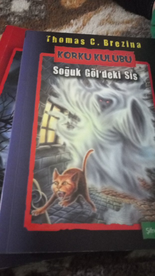 Thomas Brezina'nın Bilim Kurgu ve Fantastik Kitapları - Görsel 3