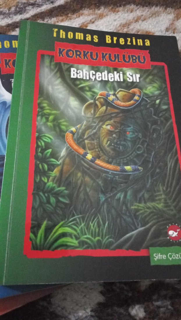 Thomas Brezina'nın Bilim Kurgu ve Fantastik Kitapları - Görsel 5