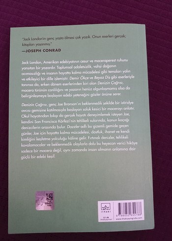 Denizin Çağrısı - Jack London - Görsel 2