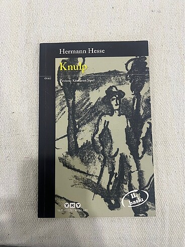 Knulp kitap