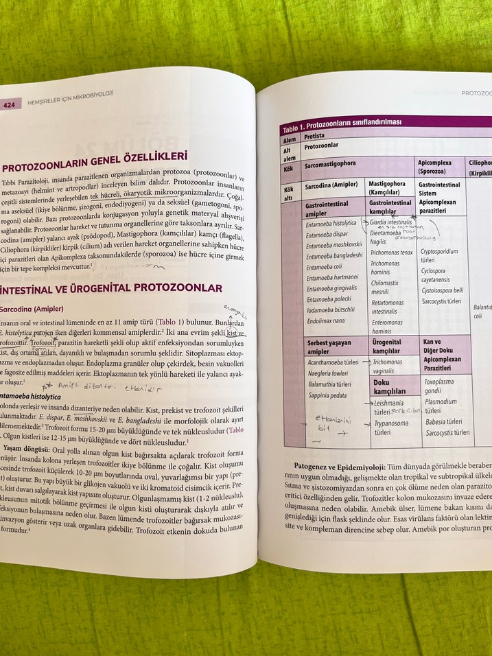 Hemşireler İçin Mikrobiyoloji Kitabı - Görsel 3