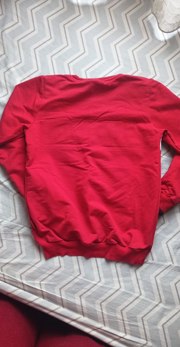 Kırmızı Baskılı Erkek Sweatshirt - Görsel 2