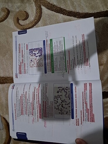  Beden Entegre Konu Anlatımlı Tusdata