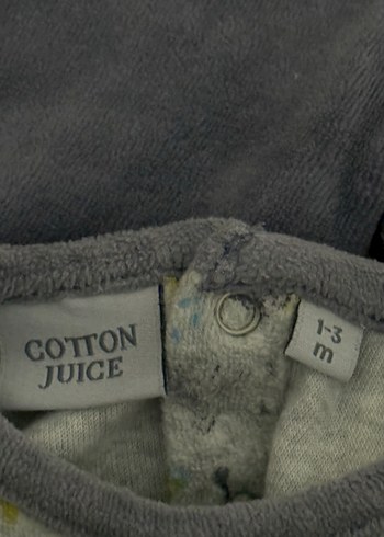 Gri Bebek Takımı, Uzun Kollu, Düğmeli - Görsel 2