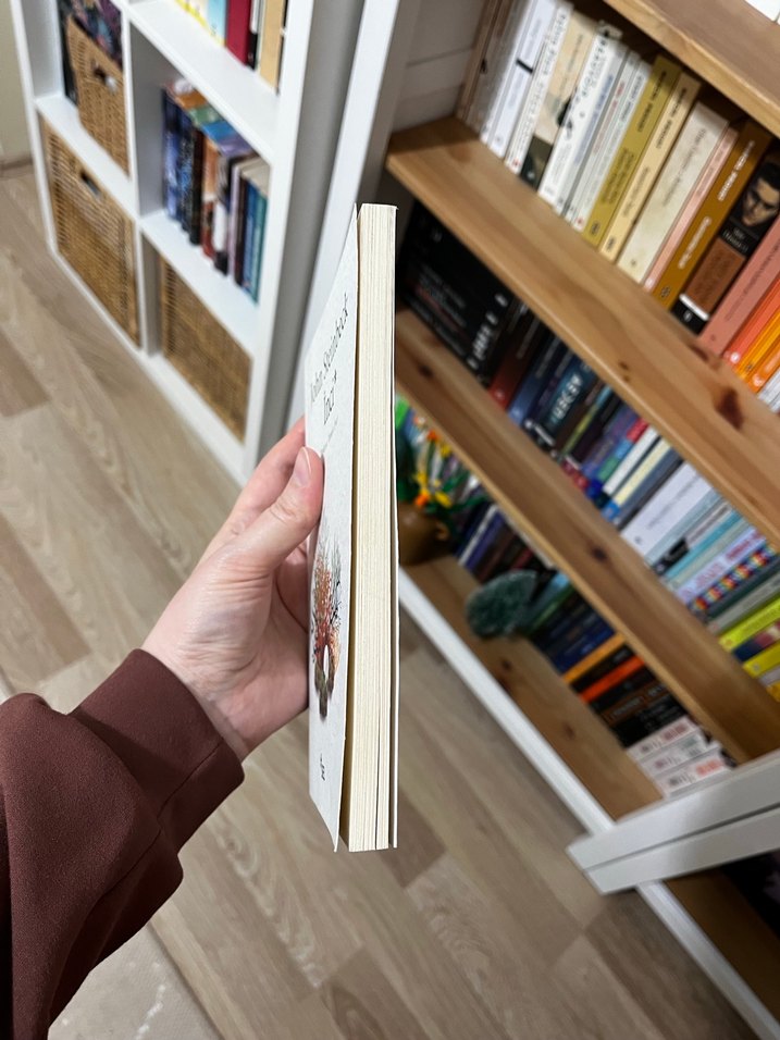 John Steinbeck - İnci - Görsel 2