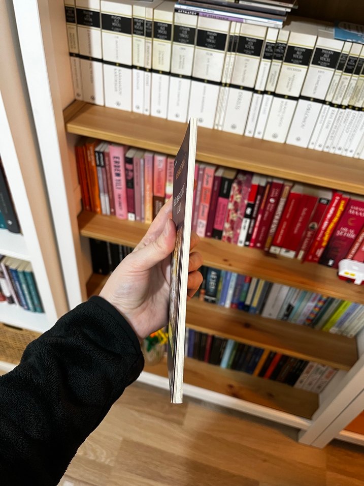 Mehmet Rauf - Bir Hastalığın İlacı - Görsel 3