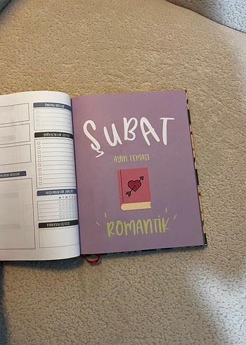 Planlama Ajandası, Pembe - Görsel 7