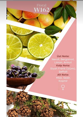 MAD W162 Kadın Parfümü 50 ml Floral Koku - Görsel 3