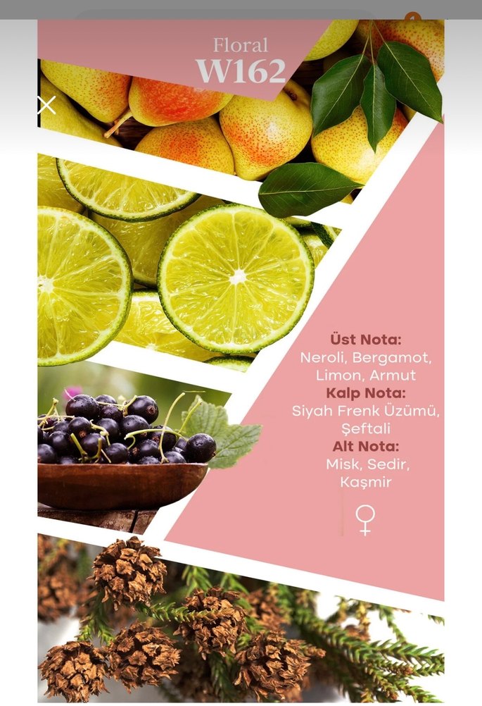 MAD W162 Kadın Parfümü 50 ml Floral Koku - Görsel 3