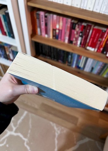 Kitap kurtları / epsilon yayınları - Görsel 4