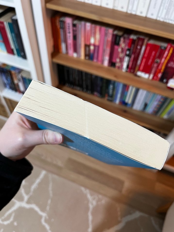 Kitap kurtları / epsilon yayınları - Görsel 4