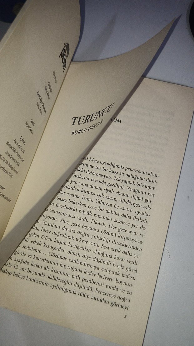 Turuncu - Burcu Dinçer Roman - Görsel 3