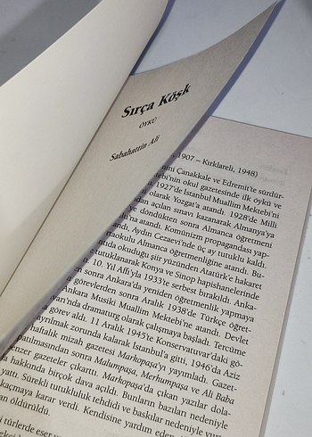 Sabahattin Ali - Sırça Köşk Romanı - Görsel 3
