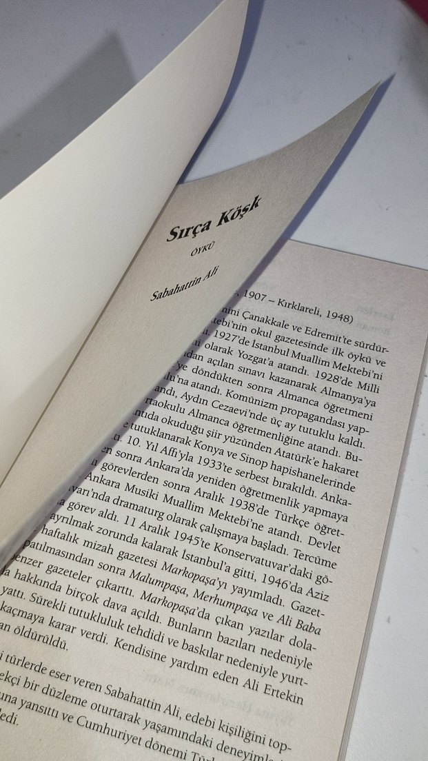 Sabahattin Ali - Sırça Köşk Romanı - Görsel 3