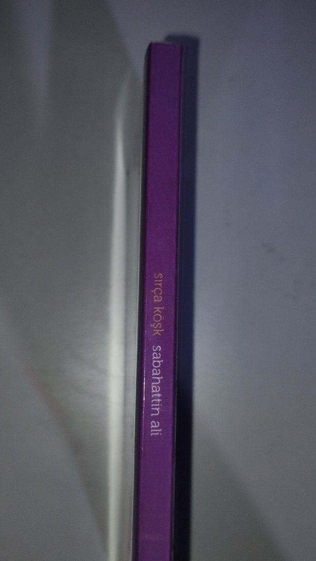 Sabahattin Ali - Sırça Köşk Romanı - Görsel 4