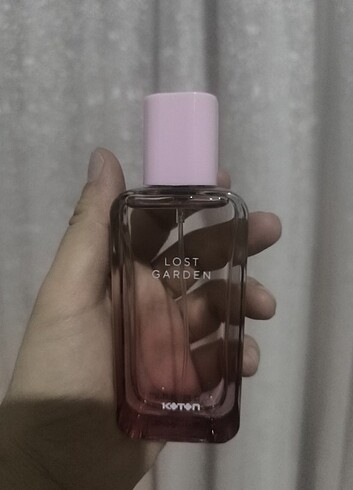 Koton lost garden EDT 50ml
