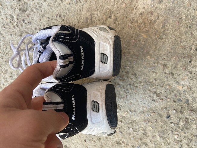 36 Beden siyah Renk D?lites - Biggest Fan Skechers