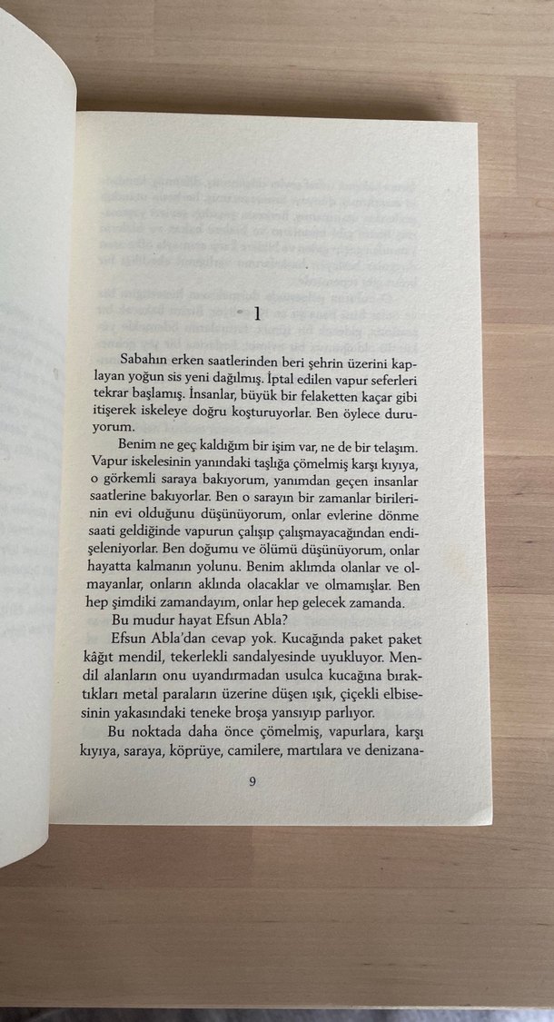 Başkalarının Tanrısı - Mine Söğüt - Görsel 3