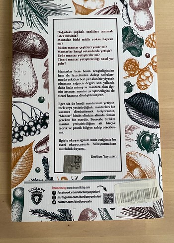 İstiridye ve Kültür Mantar Yetiştiriciliği Kitabı - Görsel 2