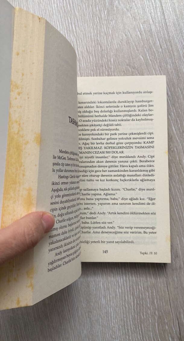 Stephen King - Tepki (Firestarter) Roman - Görsel 4