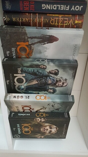  The 100