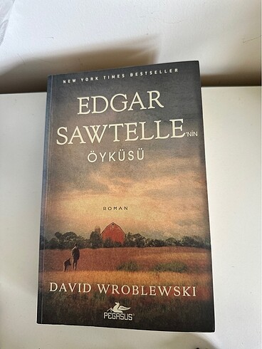 Edgar Sawtelle Öyküsü