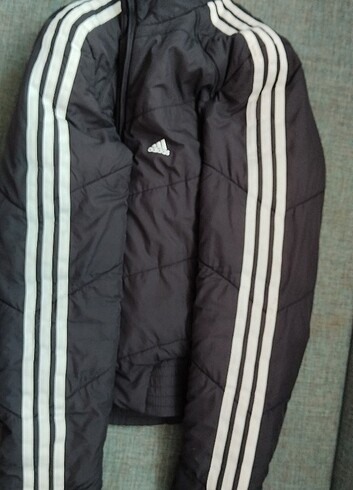 Adidas Adidas mont