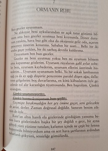 Beden Siyam Serisi Roman Seti - Beyza Akşın